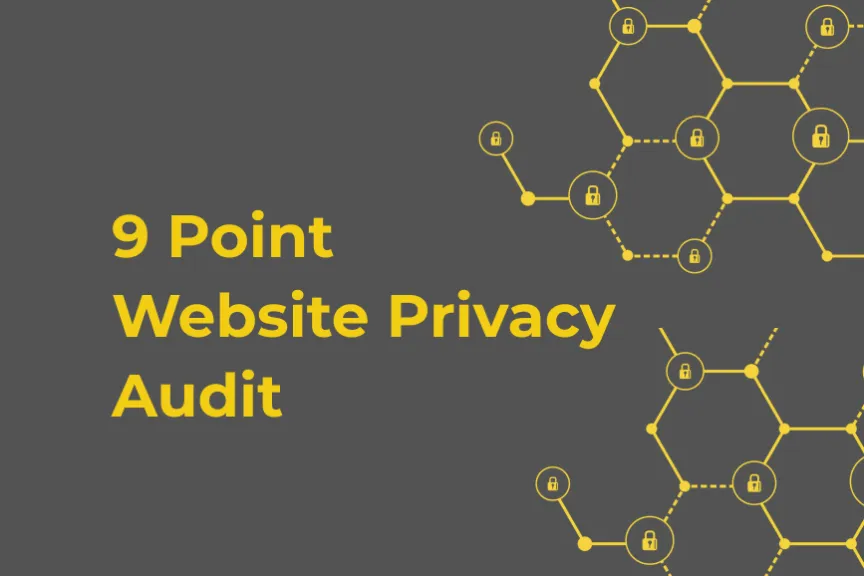 9 Point Website Privacy Audit title