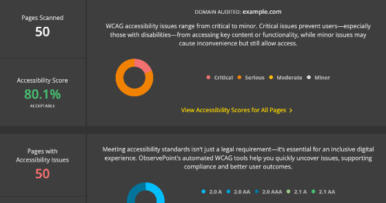 ObservePoint's accessibility highlight report.